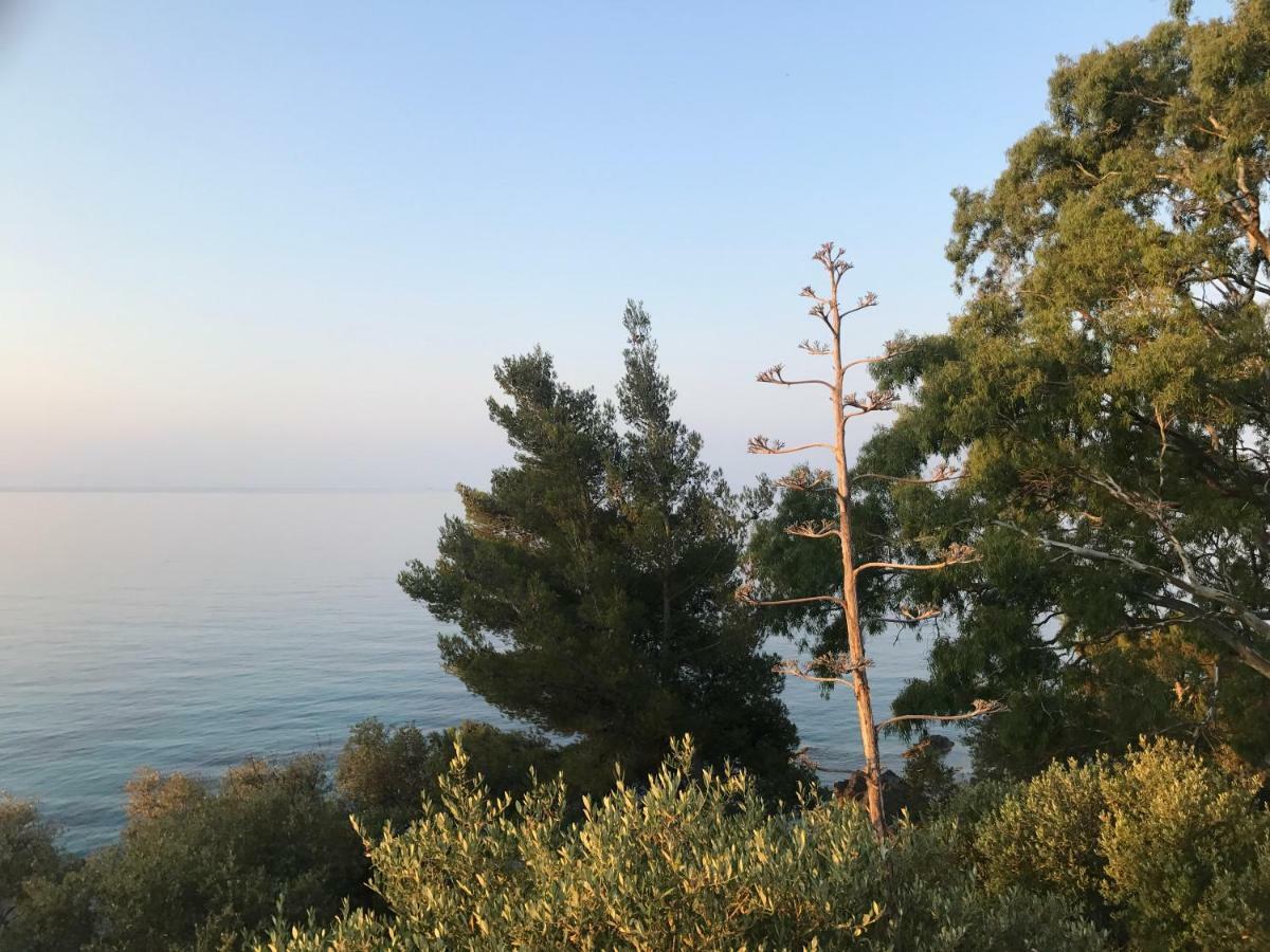 Appartements La Fossette Plage Le Lavandou Εξωτερικό φωτογραφία